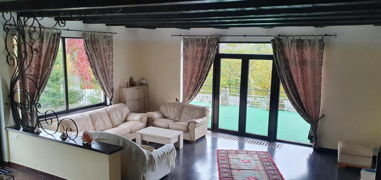 Casa Yla Βίλα Πιάτρα Νέαμτς Εξωτερικό φωτογραφία